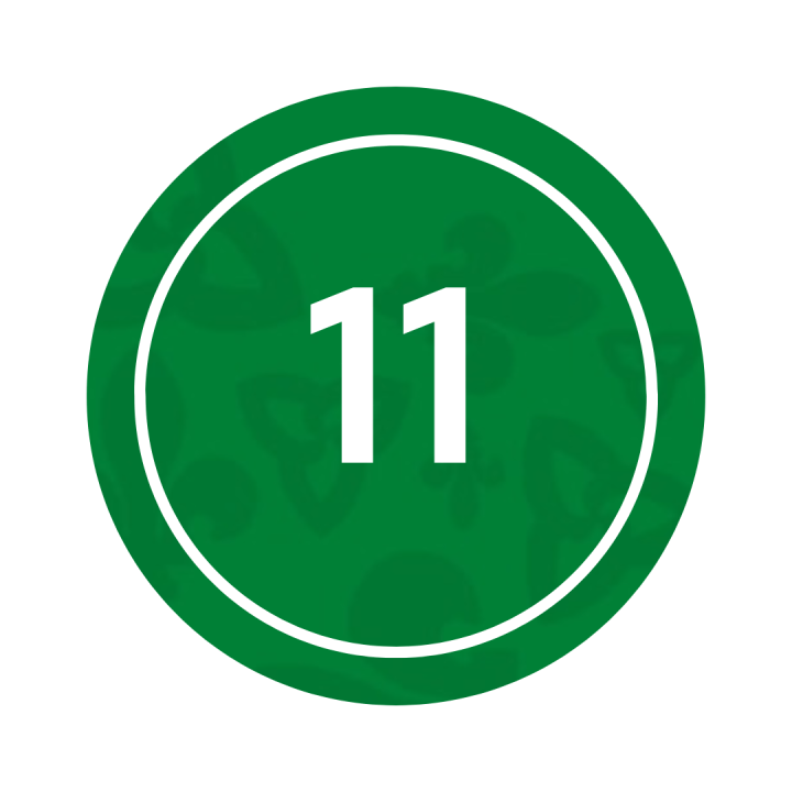 11