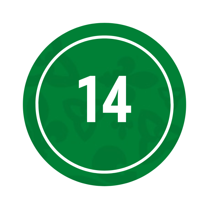 14