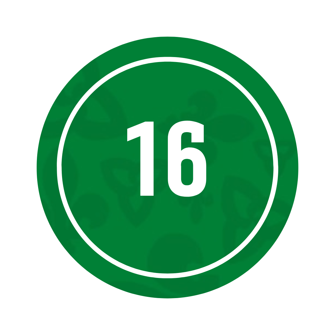 16