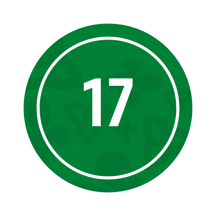 17