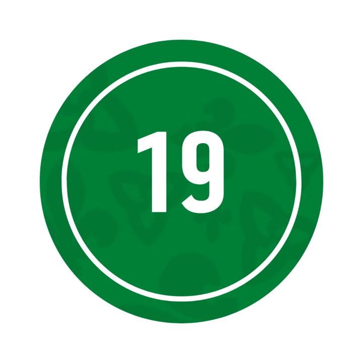19