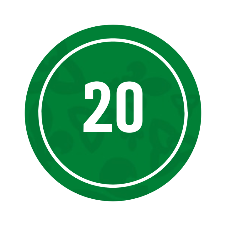 20