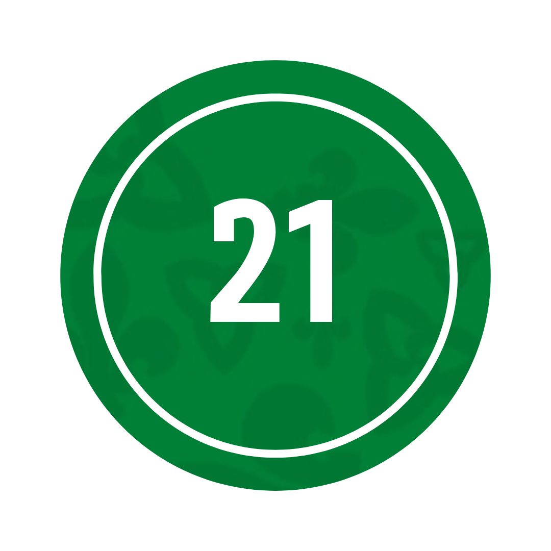 21