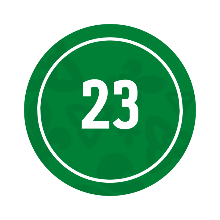 23