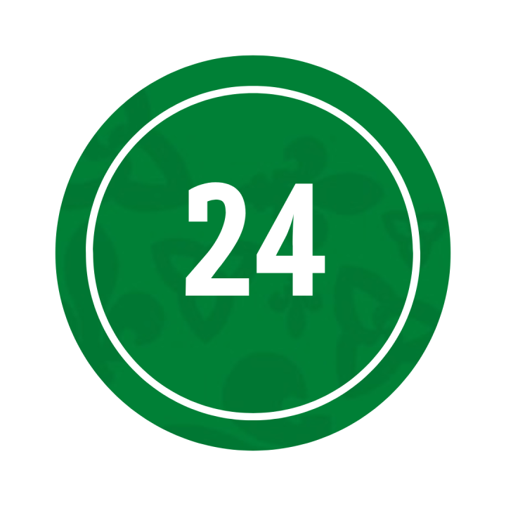 24