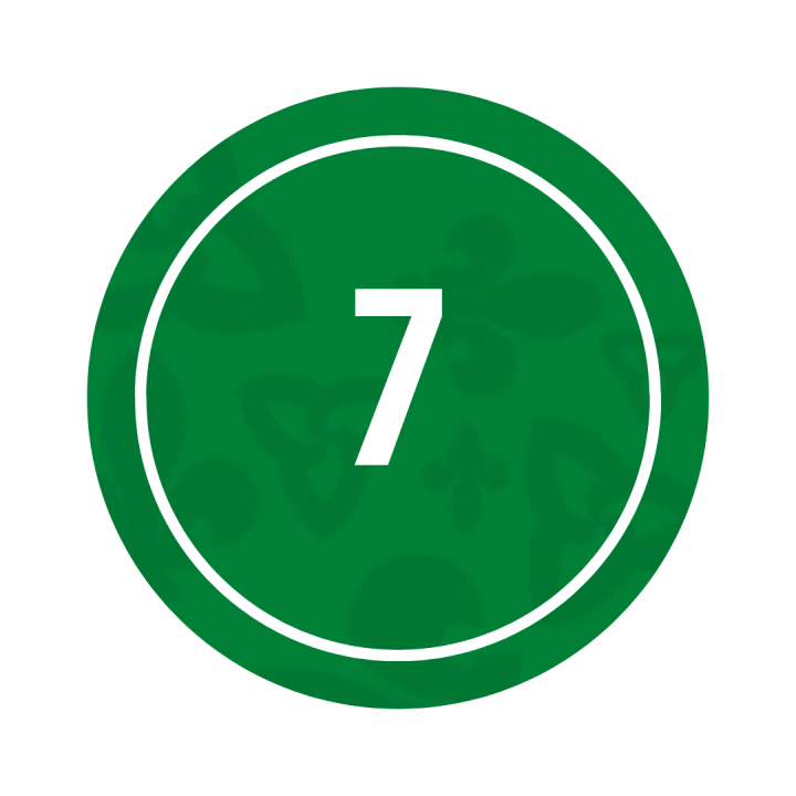 7